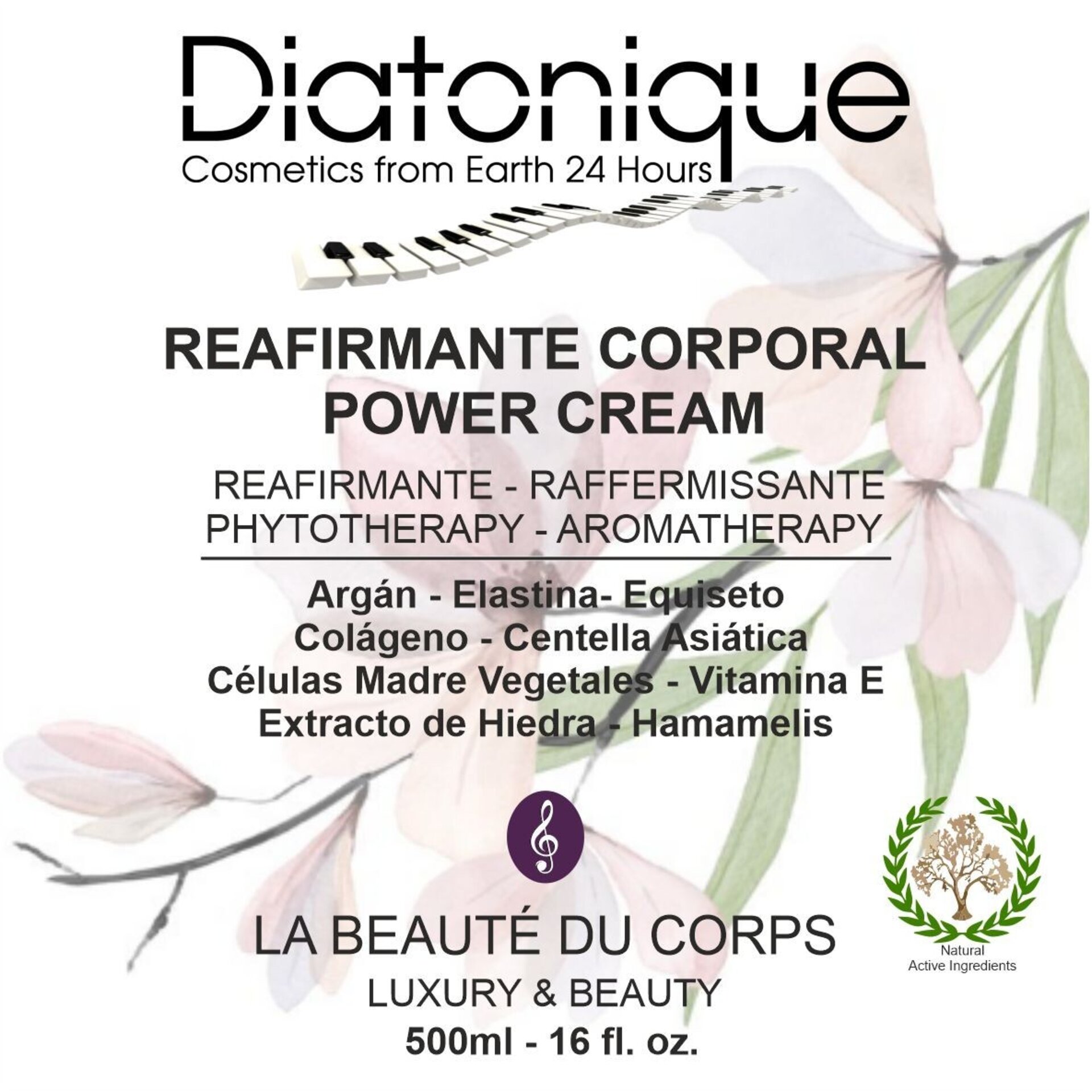 Crema Reafirmante Reductora Corporal Mas Plus Diatonique 500 ml - Antiflacidez - 3